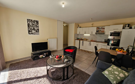 T3 récent avec jardin Gratte-Ciel