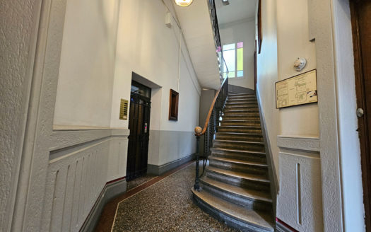 Appartement familial Brotteaux