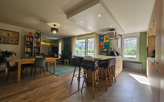 T3 rénové limite TASSIN Alaï