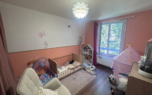 T3 rénové limite TASSIN Alaï