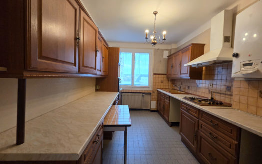 T3 Villeurbanne Étage élevé, balcon et parking