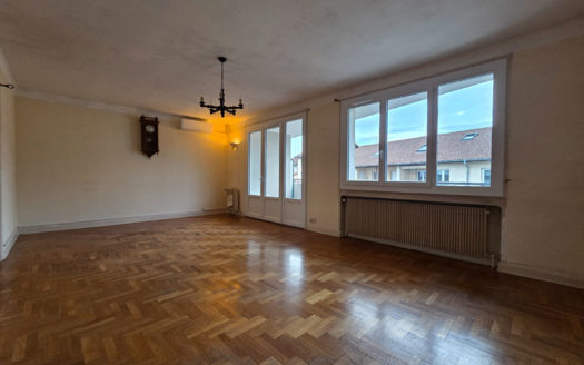 T3 Villeurbanne Étage élevé, balcon et parking