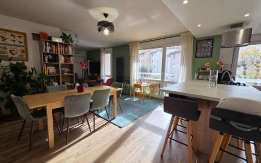 T3 rénové limite TASSIN Alaï