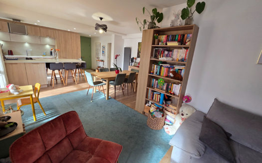 T3 rénové limite TASSIN Alaï