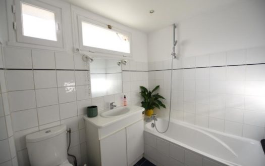 T3 / T4 rénové DECINES Grand Large