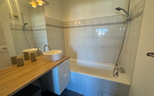 T2 Meublé avec Garage Lyon 5