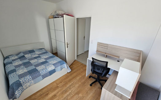 T3 MEUBLE CROIX-LUIZET / LA DOUA