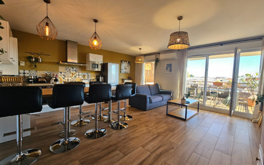 T3 récent avec garage CROIX-LUIZET