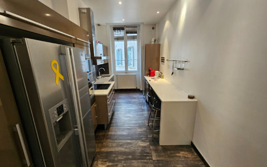 T3 100 M² meublé Brotteaux