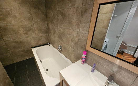 T3 100 M² meublé Brotteaux