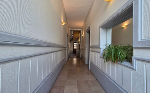 T3 100 M² meublé Brotteaux