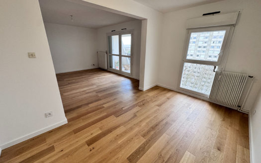 T4 rénové avec garage Tonkin