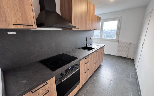 T4 rénové avec garage Tonkin