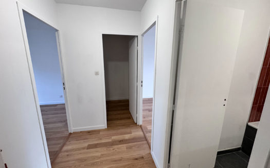 T4 rénové avec garage Tonkin