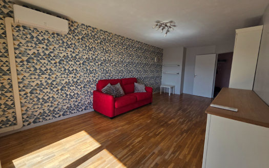 T3 récent étage avec vue Lyon 8