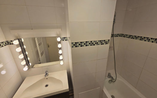 T3 récent étage avec vue Lyon 8