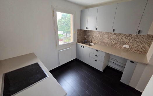 T4 Rénové avec balcon Charpennes