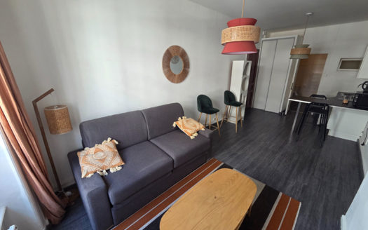 Studio meublé Villeurbanne / 6ème
