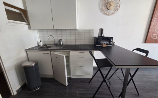 Studio meublé Villeurbanne / 6ème