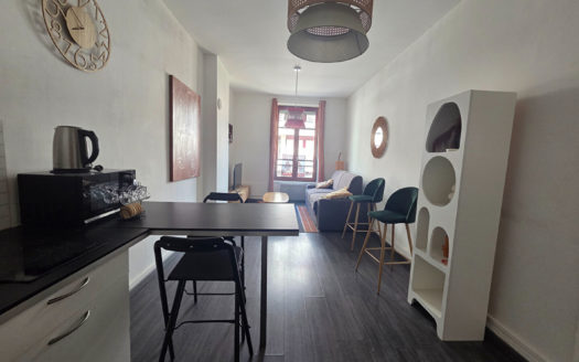 Studio meublé Villeurbanne / 6ème